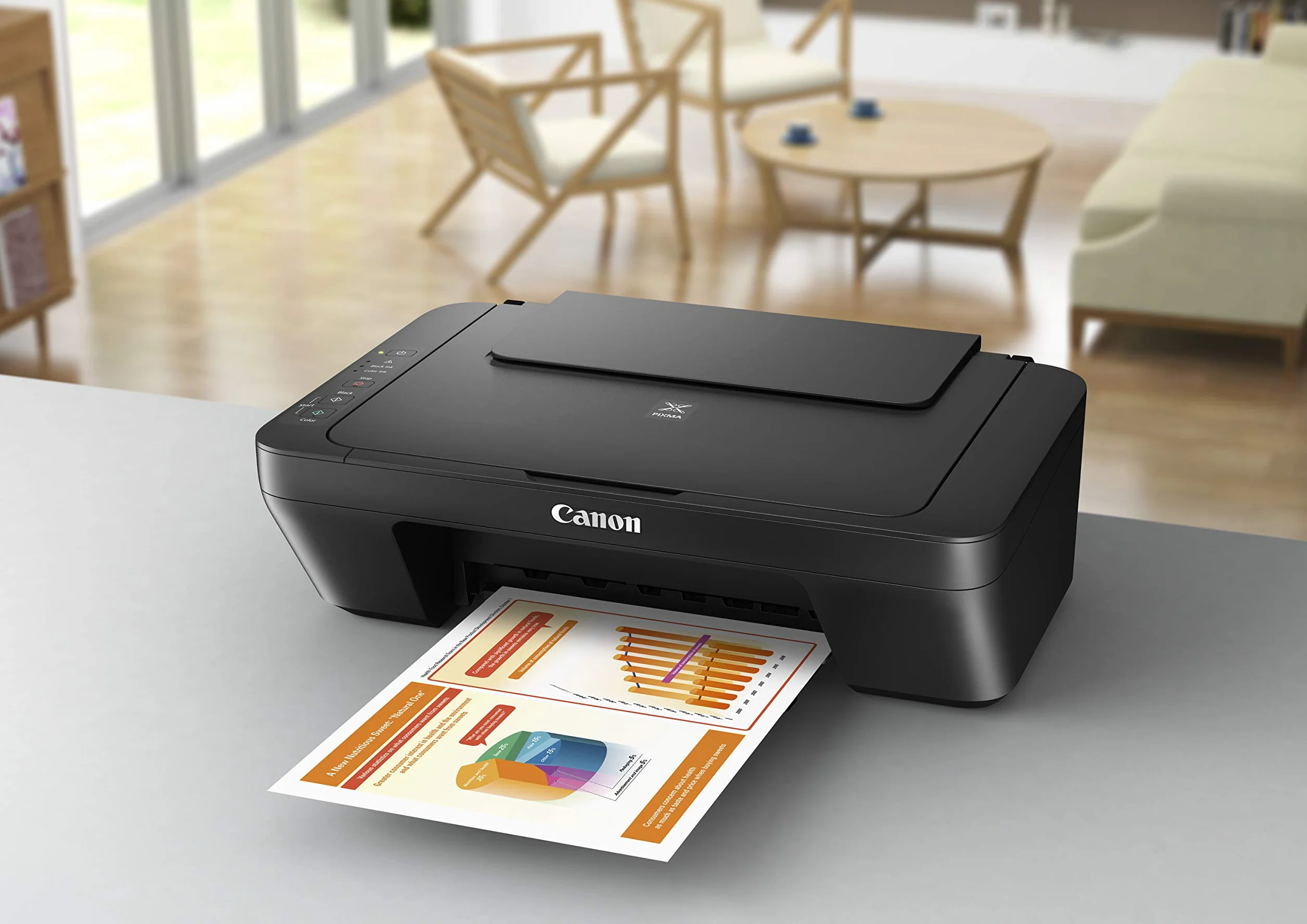 Canon PIXMA MG 2550S Imprimante Multifonction 3 en 1 Jet d'encre