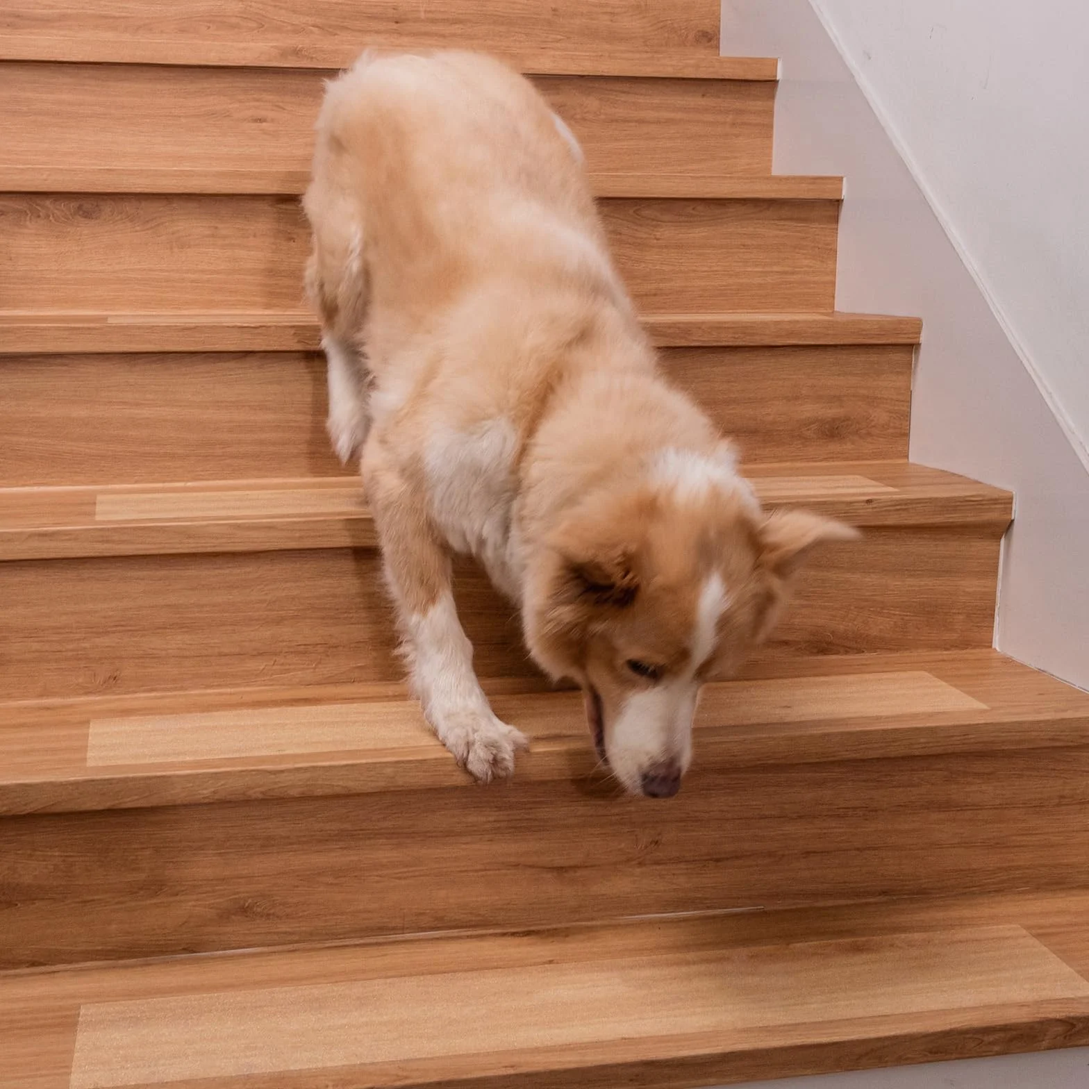 Spurtar Transparent Tapis Antidérapant Bande Escalier 15 x 60 cm Lot de 15