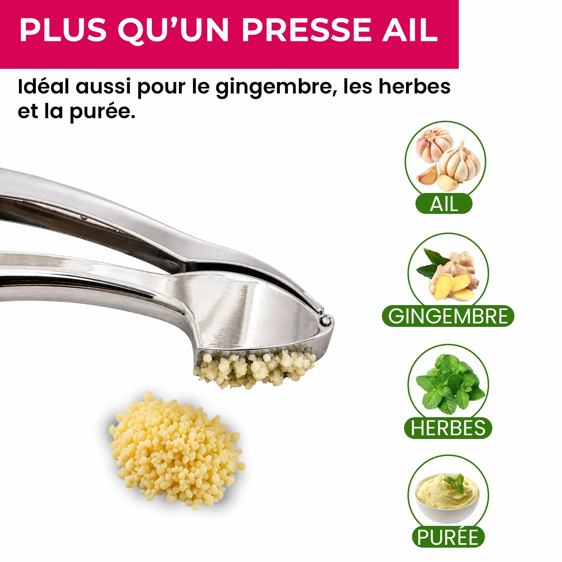 Presse Ail Professionnel - Hachoir Manuel & Écrase Ail - Garlic Press Crusher - Coupe Râpe - Ustensiles Cuisine