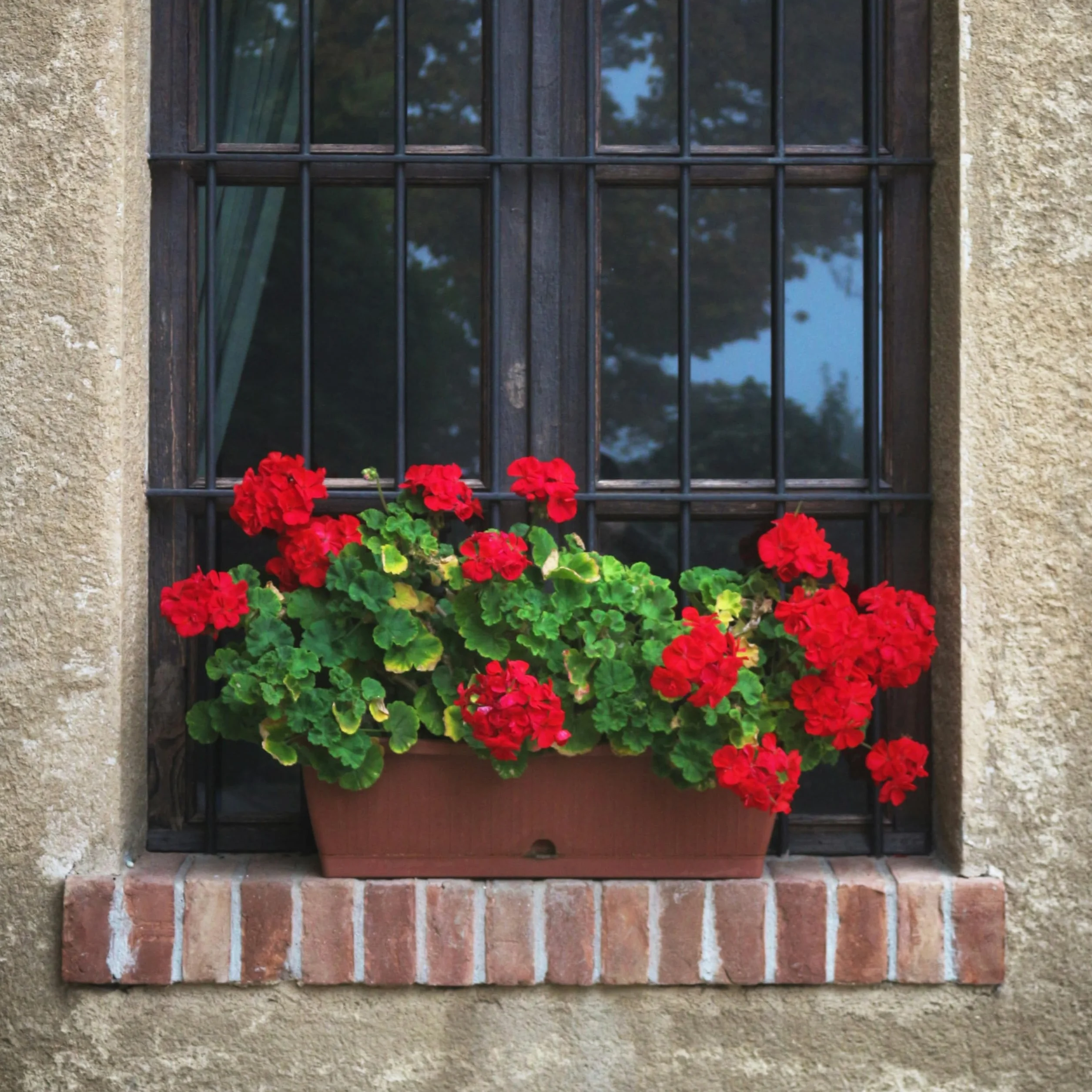 Laelfe Géranium Artificiel Extérieur Lot de 2 Buisson Fausses Fleurs Rouge Décoration Jardin