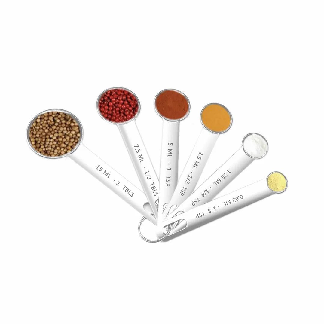 Jeu de 6 Cuillères à Mesurer en Acier Inoxydable pour Cuisine