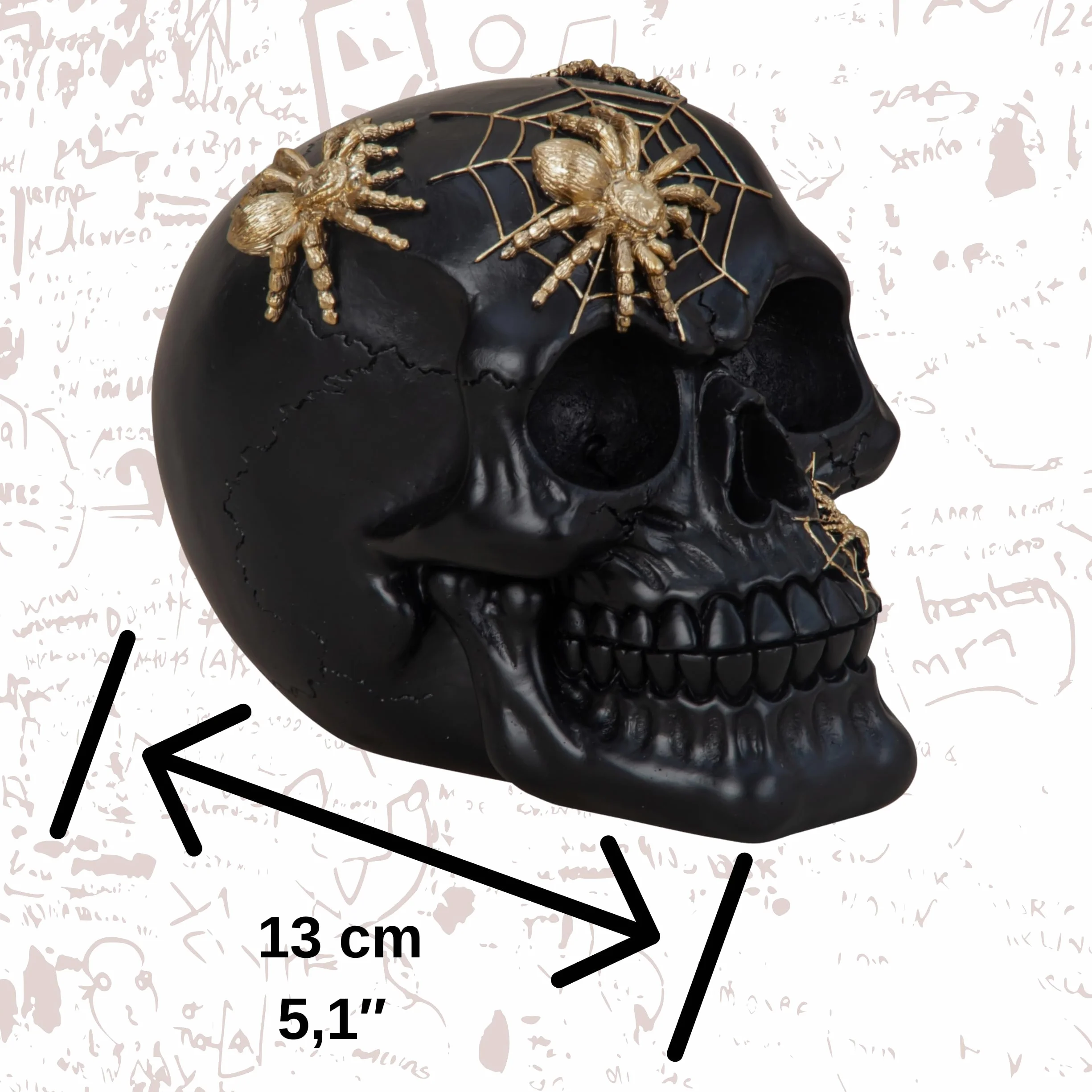 Tête de mort décorative noire avec araignées Crâne Dark Romance squelette Décoration Halloween gothique Jour des morts