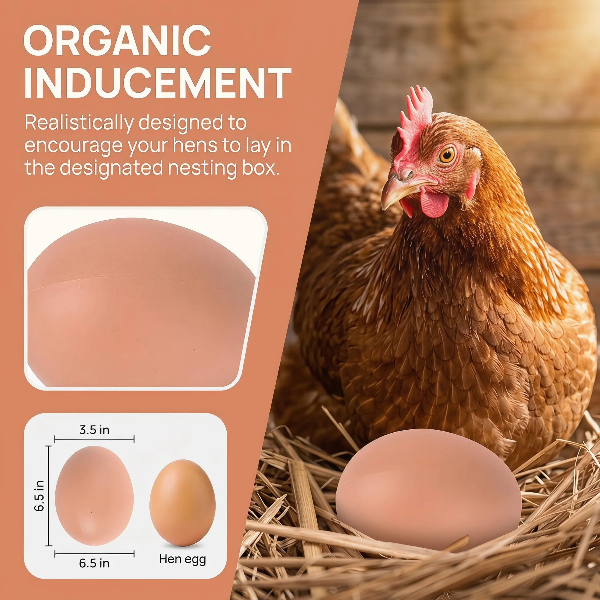 Fake Plastic Artificial Chicken Eggs 5.3cm 6PCS for Laying, Stop Eating Own Eggs, Home Decoration