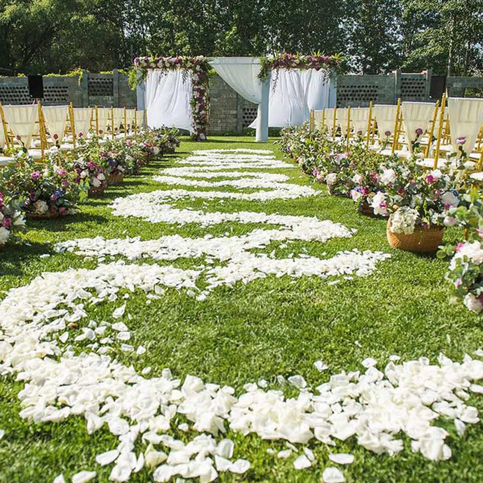 OWLKELA 1200 pièces Pétales de Blanche Artificiels - Mariage, Saint Valentin