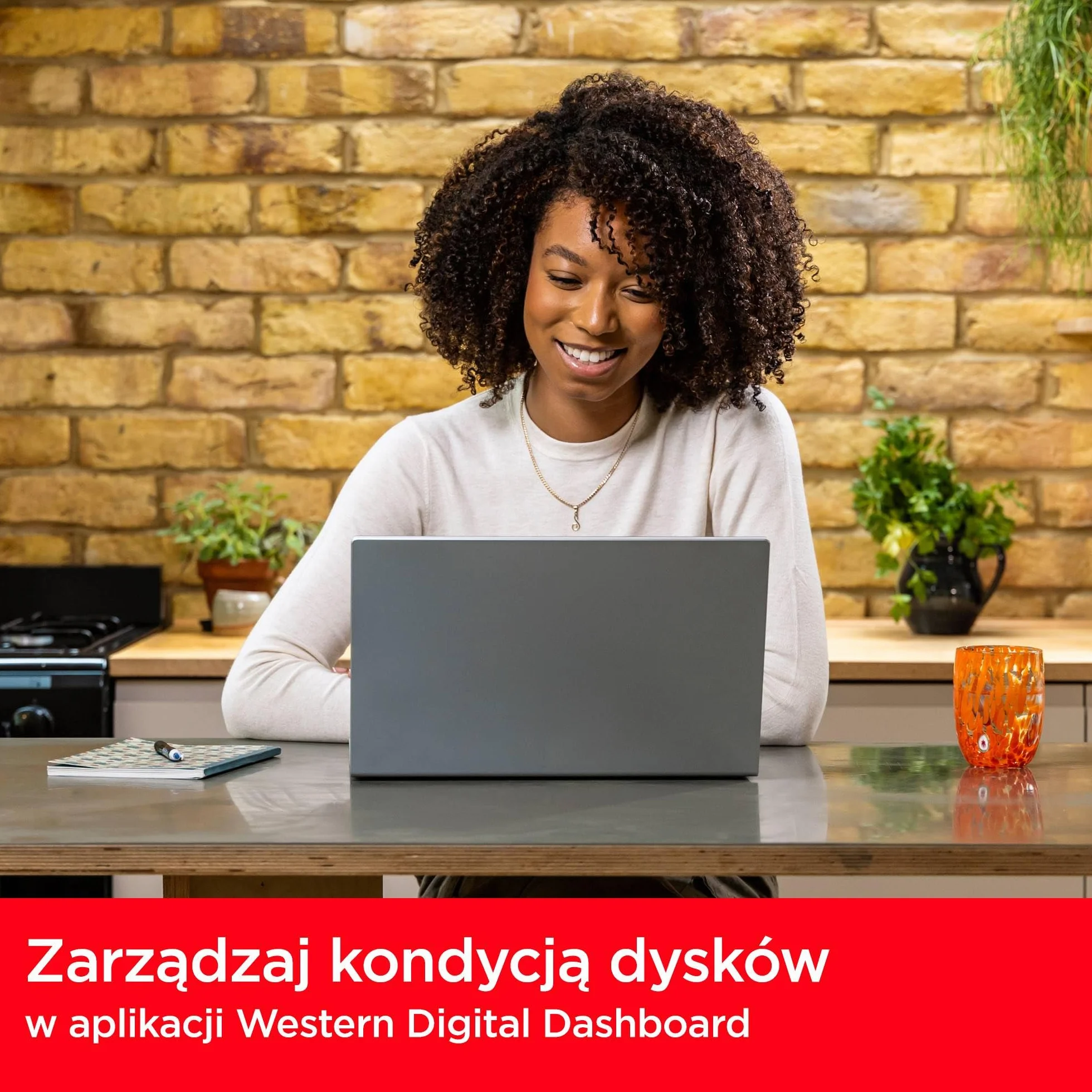 SanDisk SSD Plus 500 GB M.2 NVMe SSD, wewnętrzny SSD, PCIe Gen 3, M.2 2280, łatwa instalacja, 3 lata