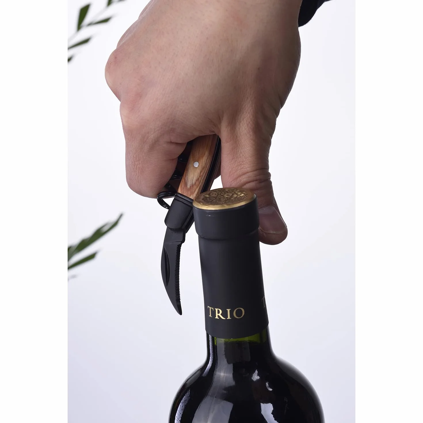 LAGUIOLE - LAGUIOLE Planchette Dégustation Fromage Tire-Bouchon Ouvre-Bouteille Vin Sommelier Couteau Pliant Multifonction, Bois Acacia, 23cm - Bois - Bois Clair