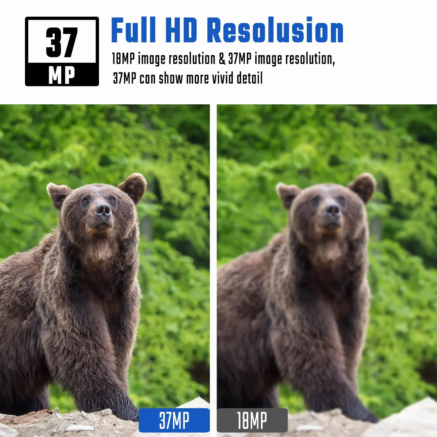 BolyGuard Kamera myśliwska 37MP 4K HD GSM Polowanie 4G 100ft Fotografia IP66 Noktowizor (BG410-MS)