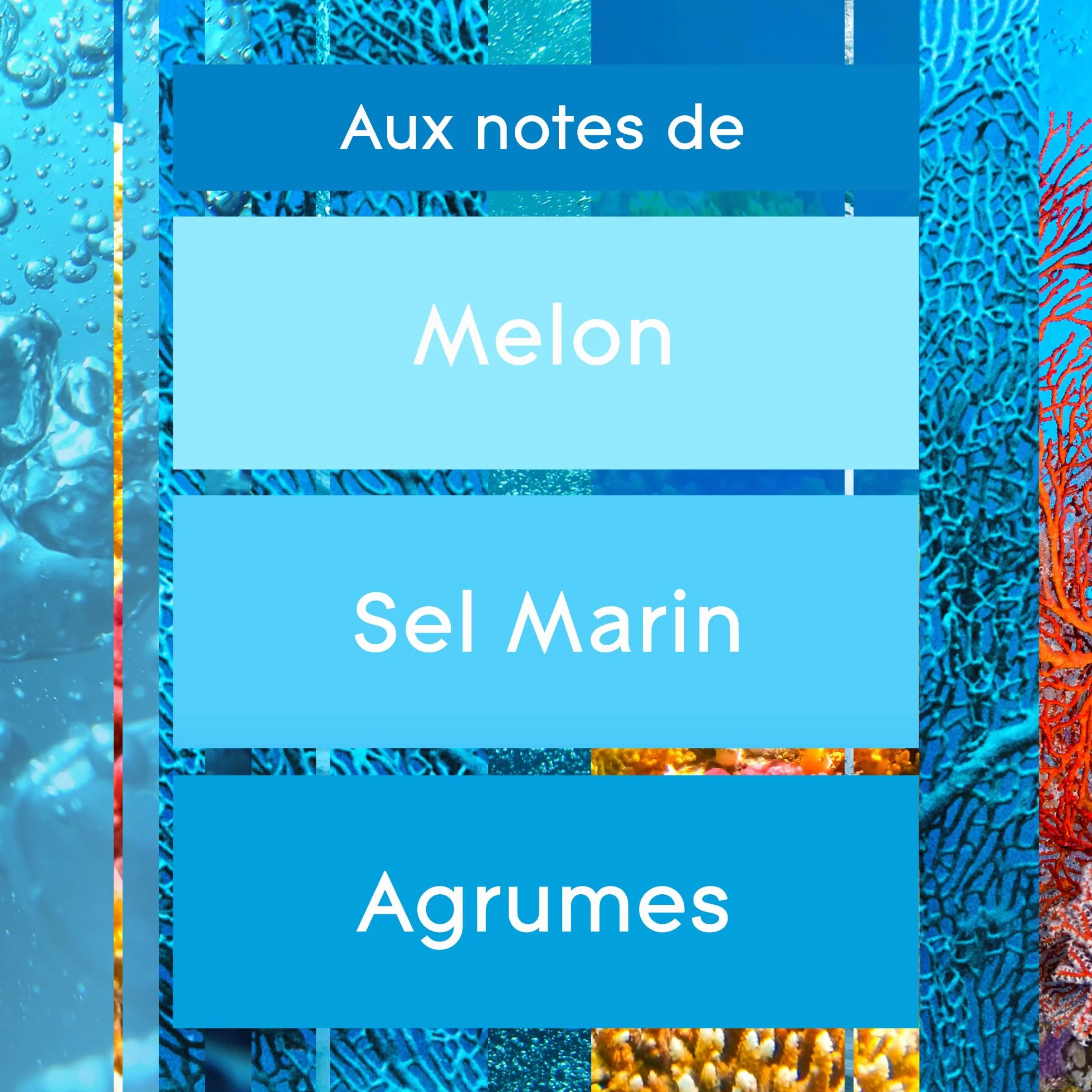 Glade Touch et Fresh Recharges 2et1 Fraicheur Instantanée Marine - 3 Recharges