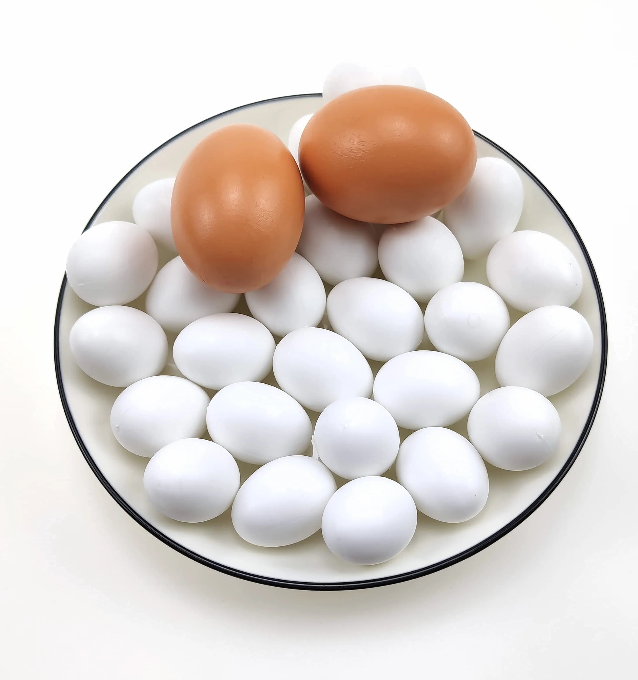 Lot de 10 œufs factices pour Pigeons en Plastique Solide