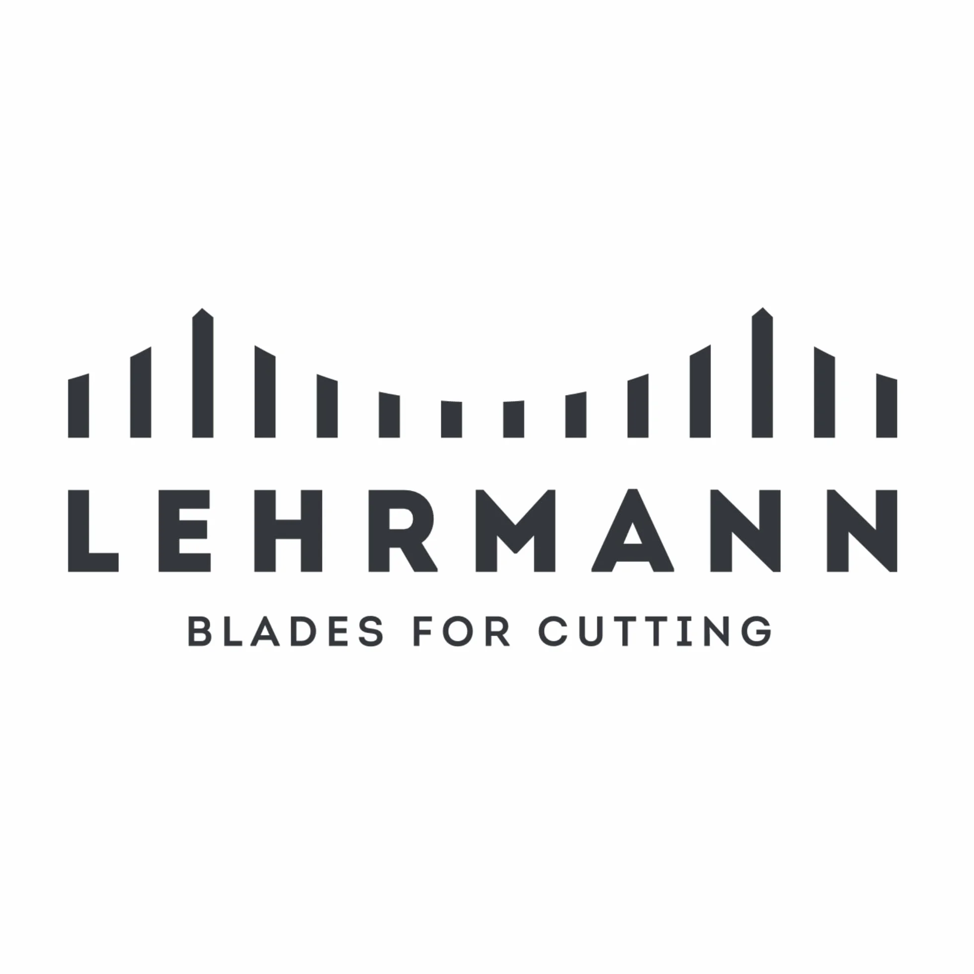 LEHRMANN Couteaux pour les trancheuses de pain (50 pcs) 250 x 13 x 0,5 mm sans revêtement