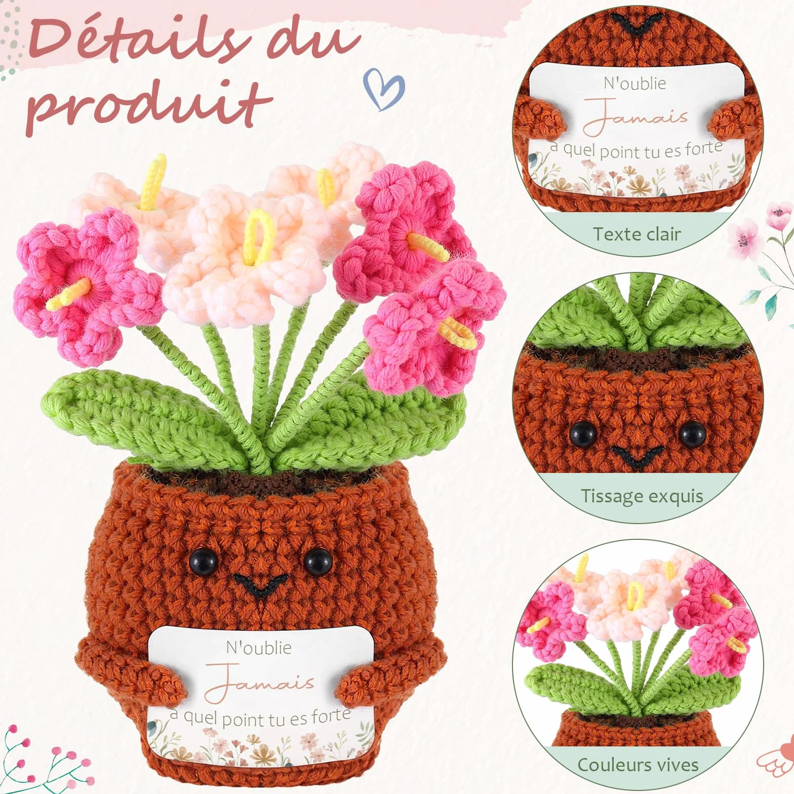 Porte-Clés au Crochet Plante en Pot avec Carte de Vœux Fleurs Séchées Coffret Cadeau