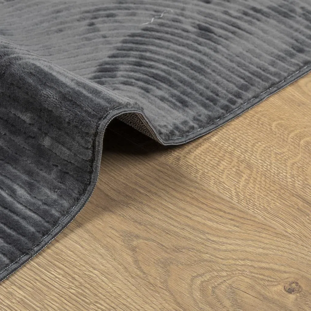 Tapis IZA Poils Courts Style scandinave Anthracite 240 x 340 cm, Polyester 100 pour Cent, Poil 8 mm, Confort pour Salon Chambre Couloir entrée