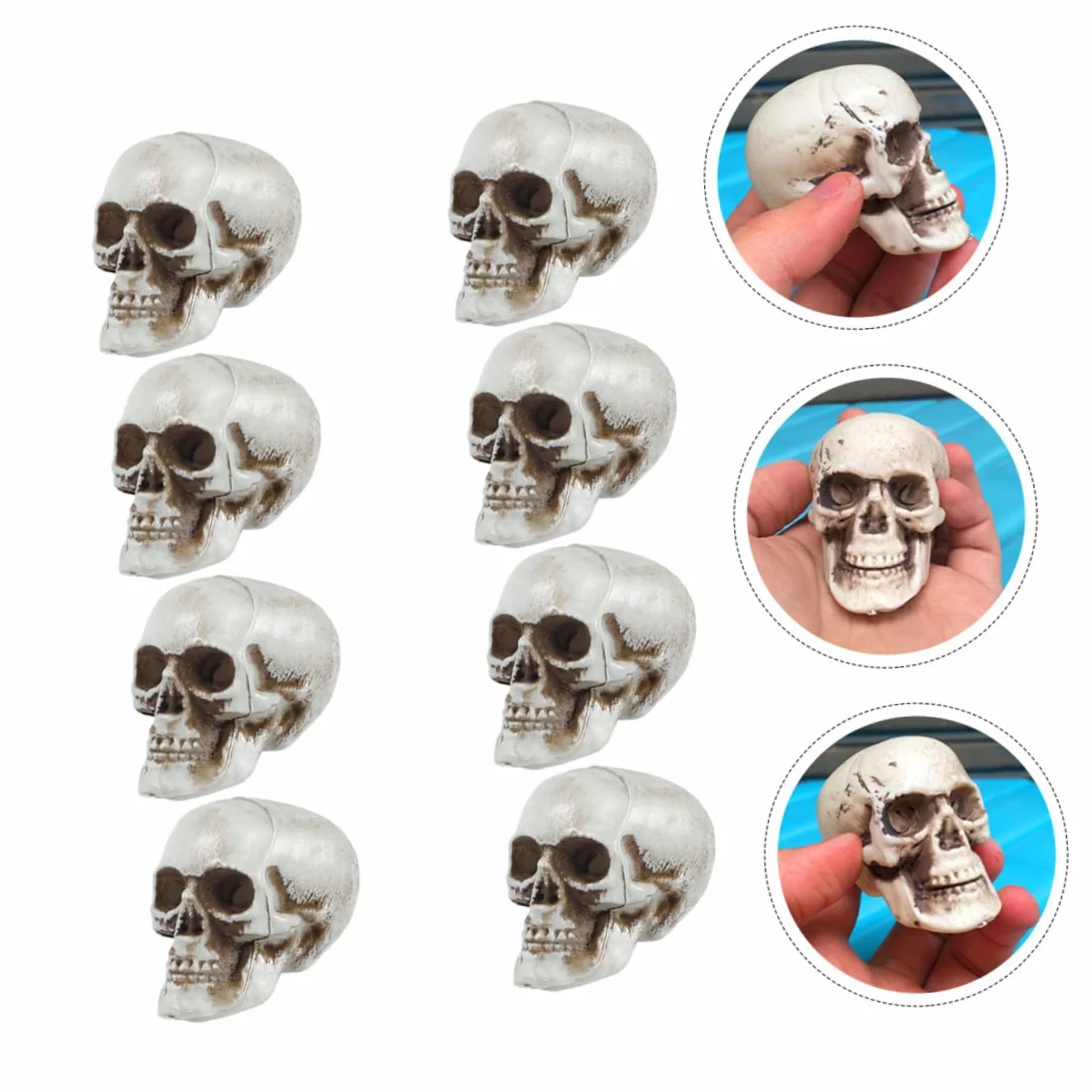 Lot de 8 Mini Crânes Plastique Halloween Décoration Fête Effrayants