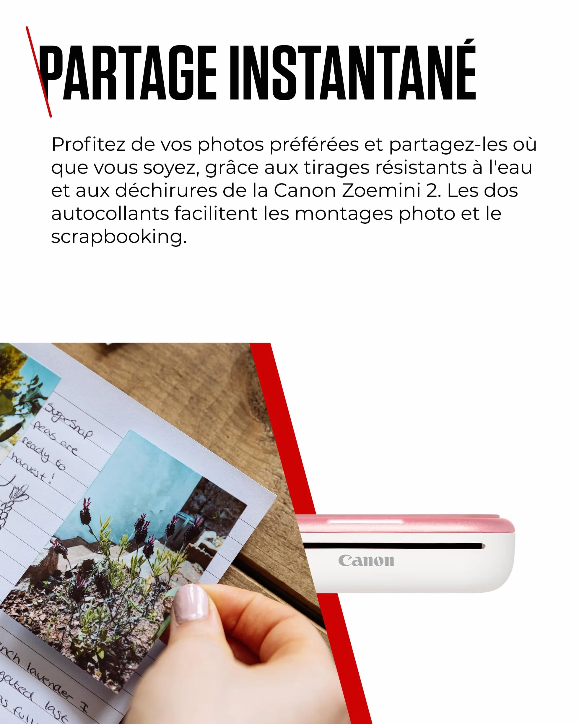 Canon Zoemini 2 Imprimante Photo Portable Bluetooth 5.0 Charge Rapide Type-C Or Rose