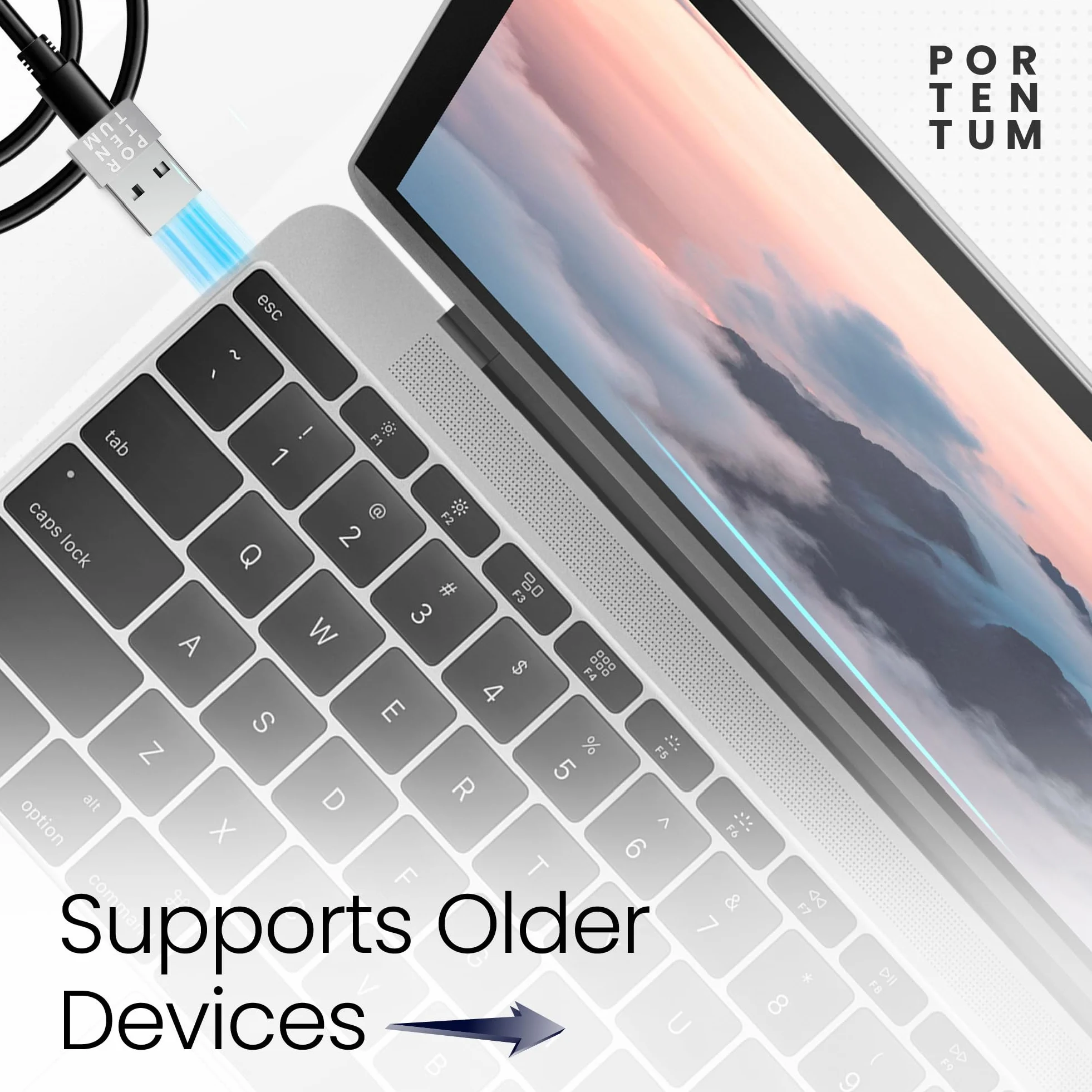 PORTENTUM Adaptateur USB C Femelle vers USB A Mâle 2.0 480 Mo Zinc