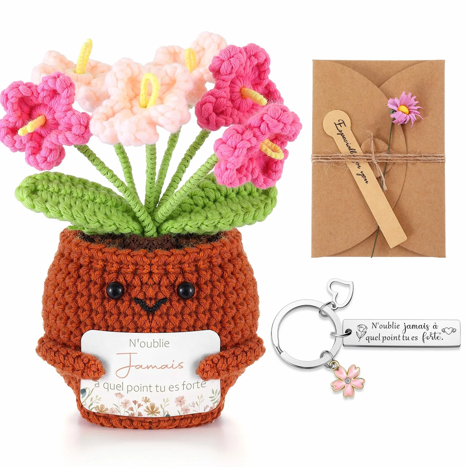 Porte-Clés au Crochet Plante en Pot avec Carte de Vœux Fleurs Séchées Coffret Cadeau