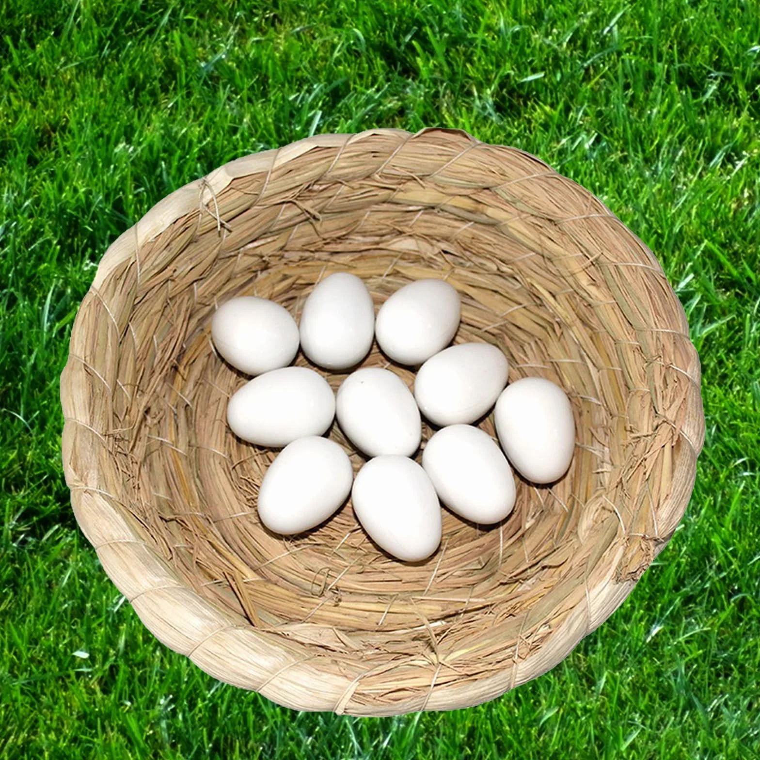 Faux Œufs de Pigeon Solides, 3.8 cm, 50 Pcs pour Peindre ou Couvrir